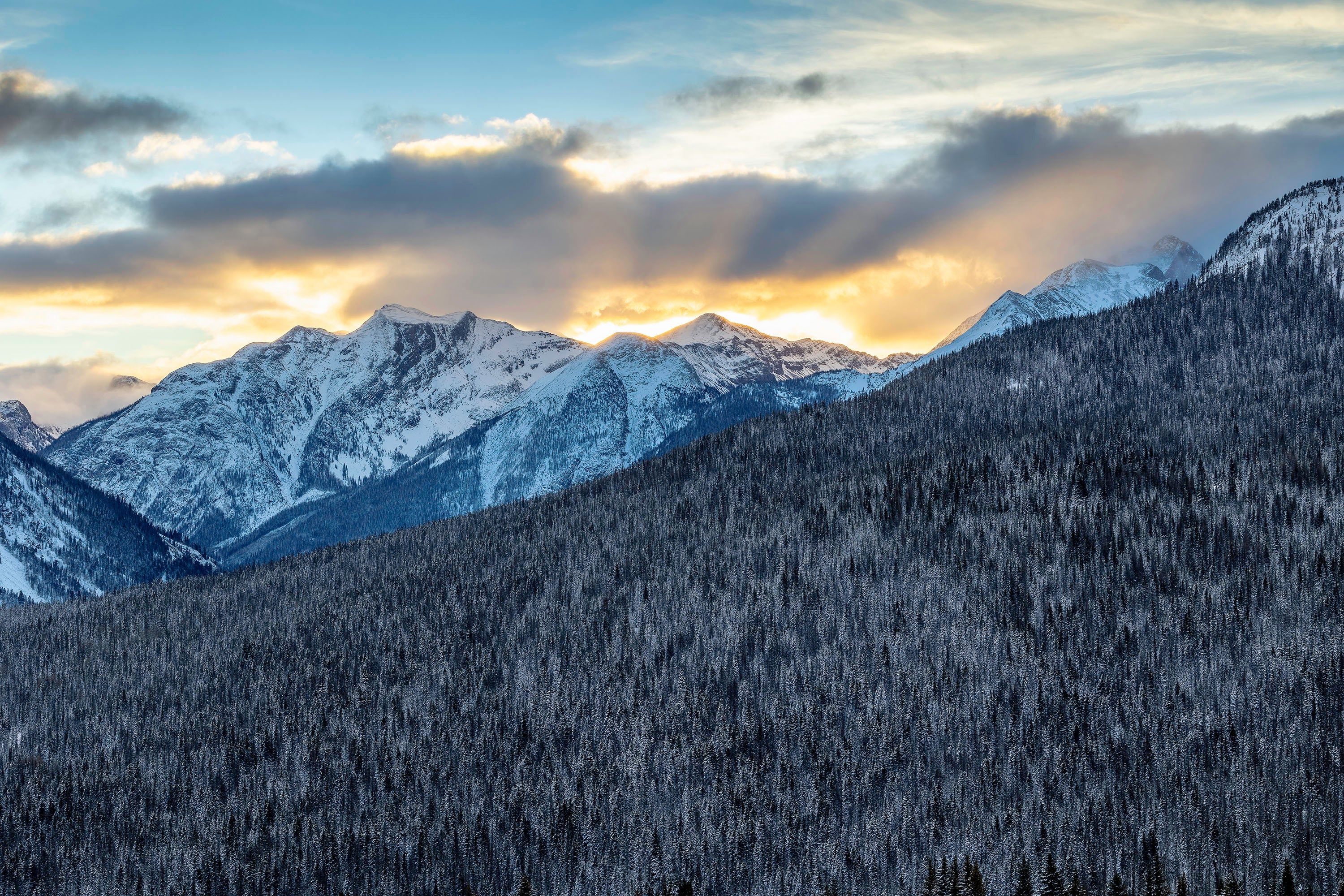 Landscapes
