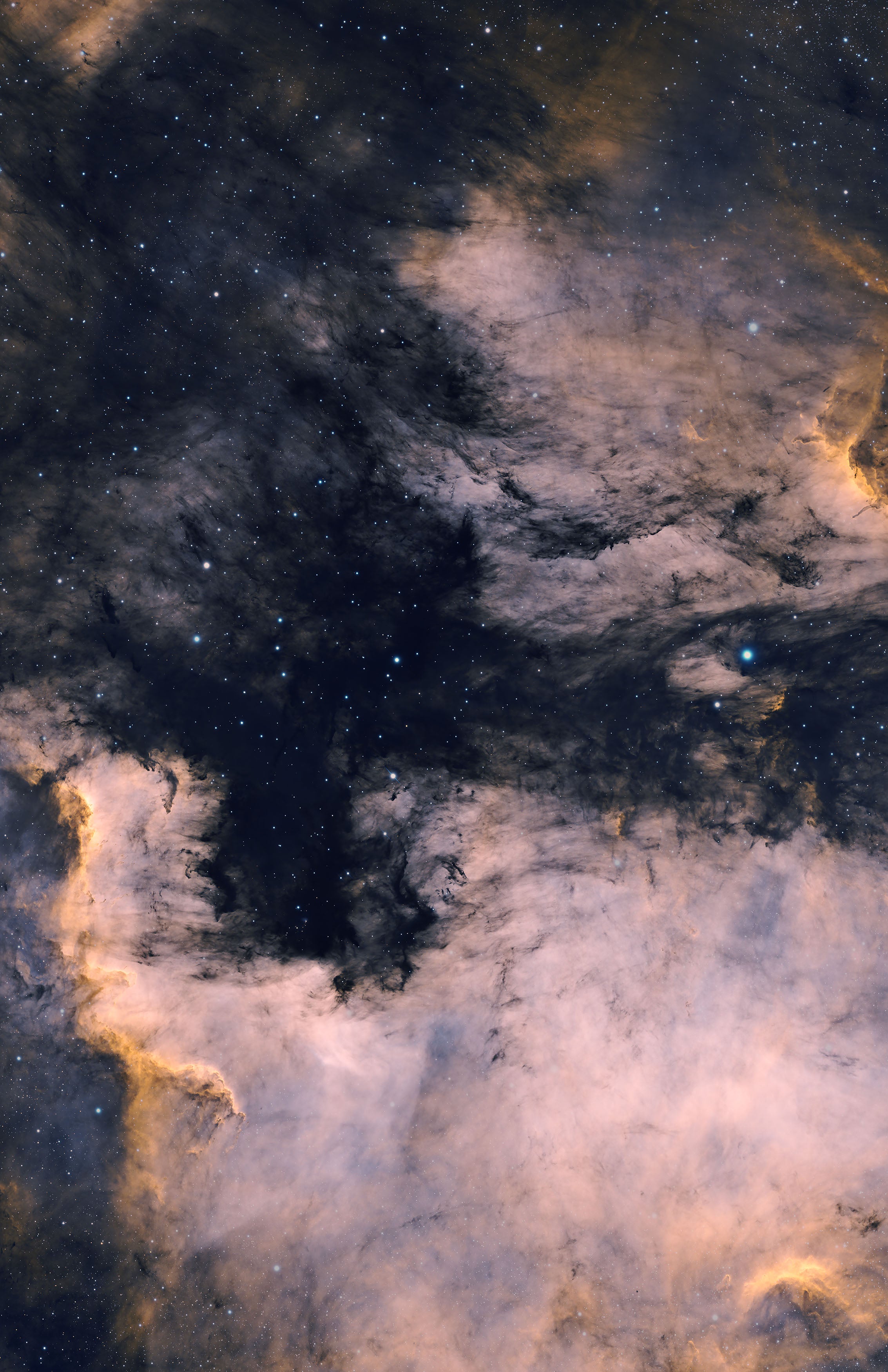 North American Nebula Fine Art Print
