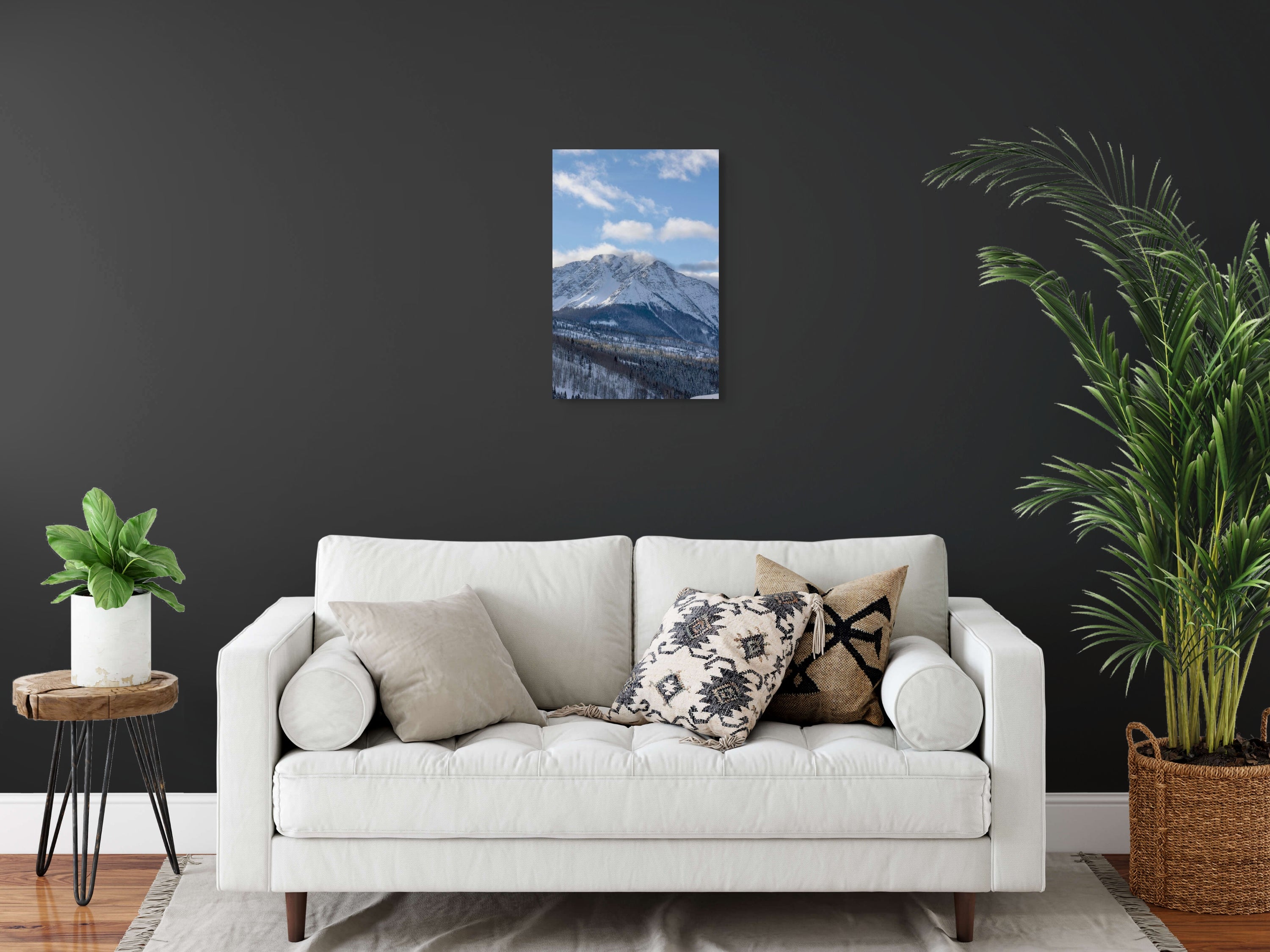 Needles Mountain Fine Art Print