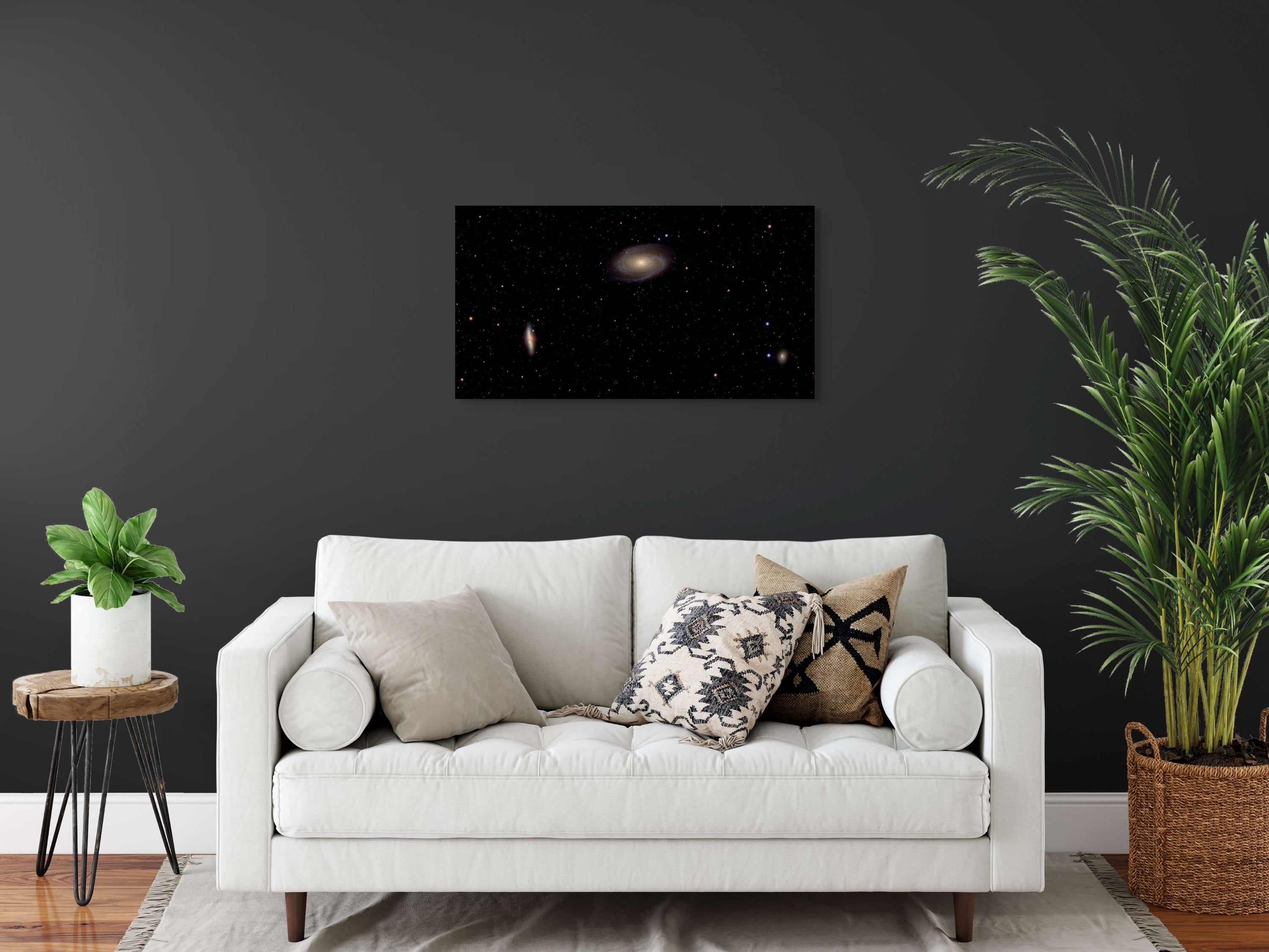Bodes & Cigar Galaxy