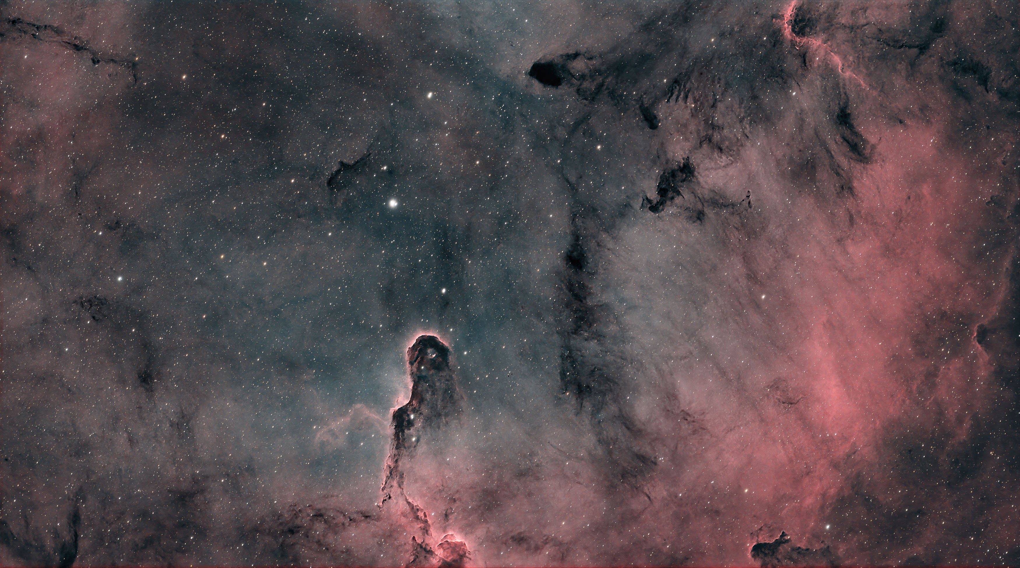Elephant Trunk Nebula Fine Art Print
