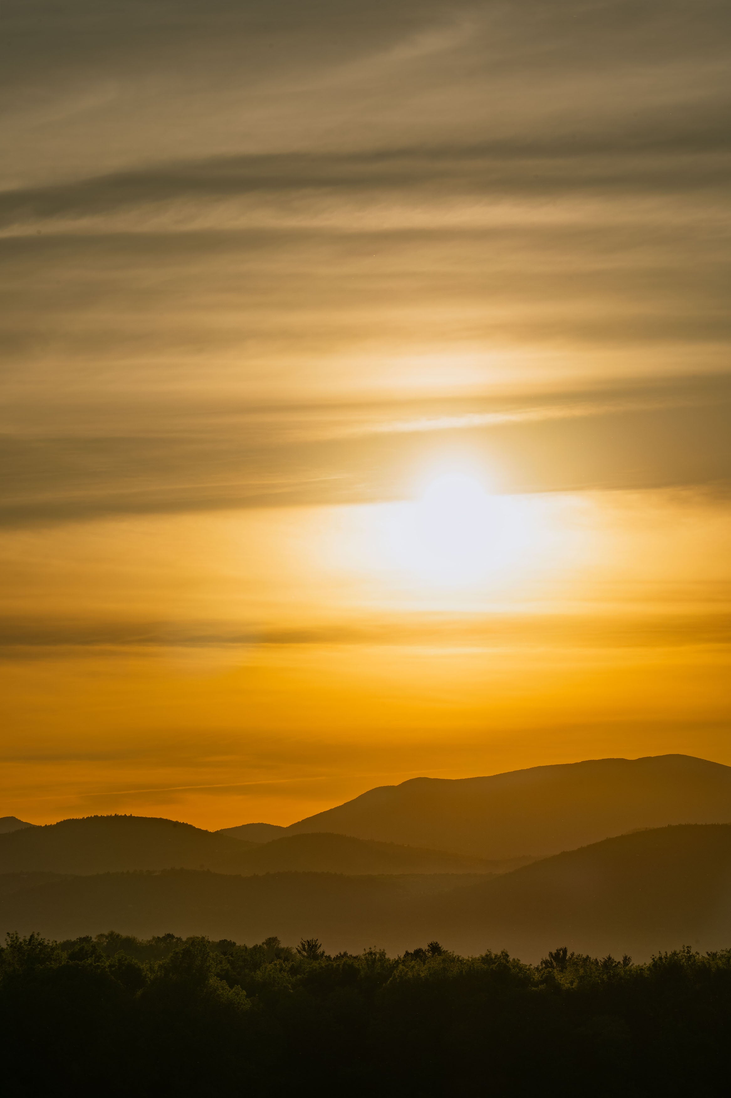 Golden Haze
