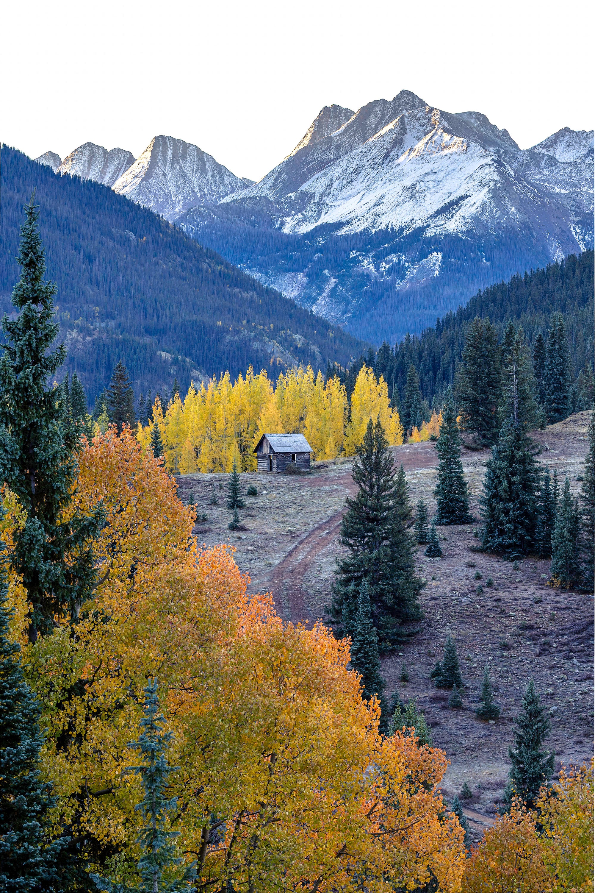 Molar Cabin Fine Art Print