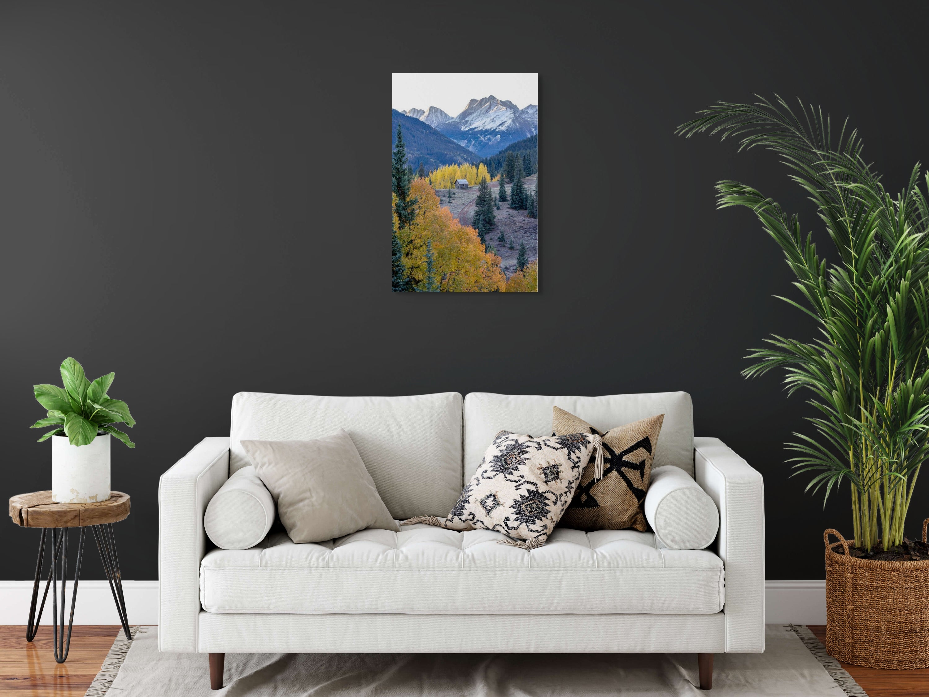 Molar Cabin Fine Art Print