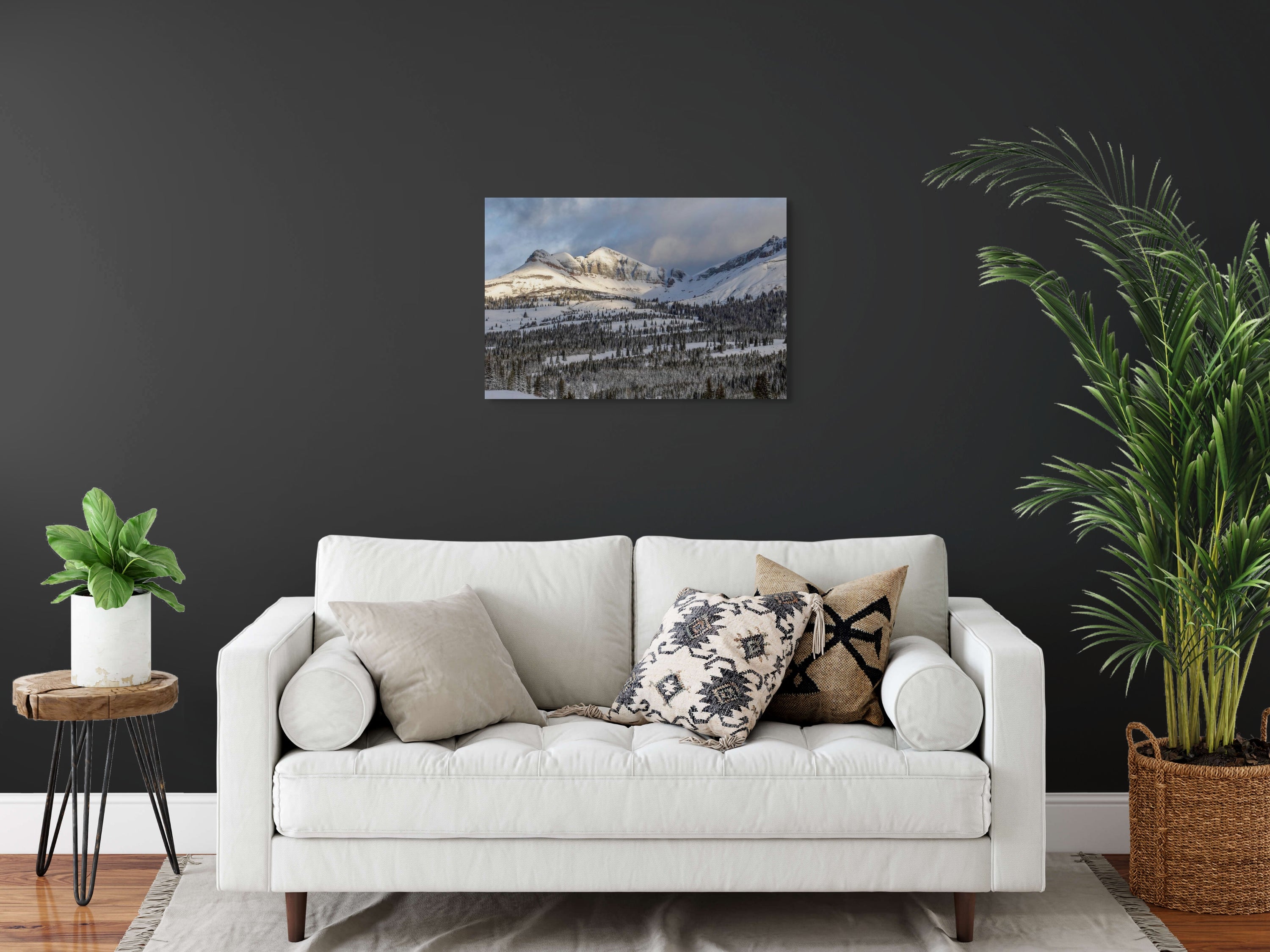 Molas Pass Winter Fine Art Print